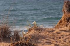 01-Gador-South-Aug-24