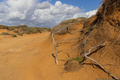 02-Gedor-Sea-Reserve-Landscape
