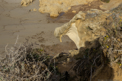 04-Gedor-Sea-Reserve-Landscape