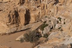 04-Gev-Yamin