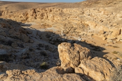 05-Gev-Yamin
