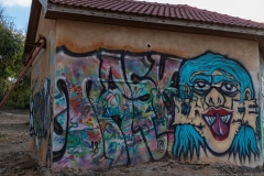 04-Graffiti-Shaidna-Ali