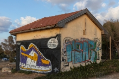 08-Graffiti-Shaidna-Ali