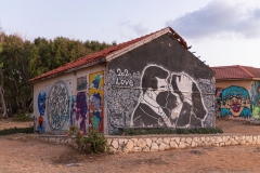 14-Graffiti-Shaidna-Ali