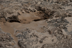 05-Habonim-Beach-Nature-Reserve-April-2026