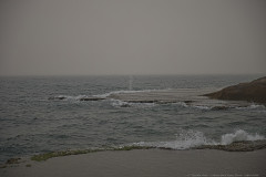 06-Habonim-Beach-Nature-Reserve-April-2026