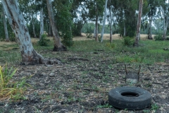 02-Hadera-Swamp-Jun-2020