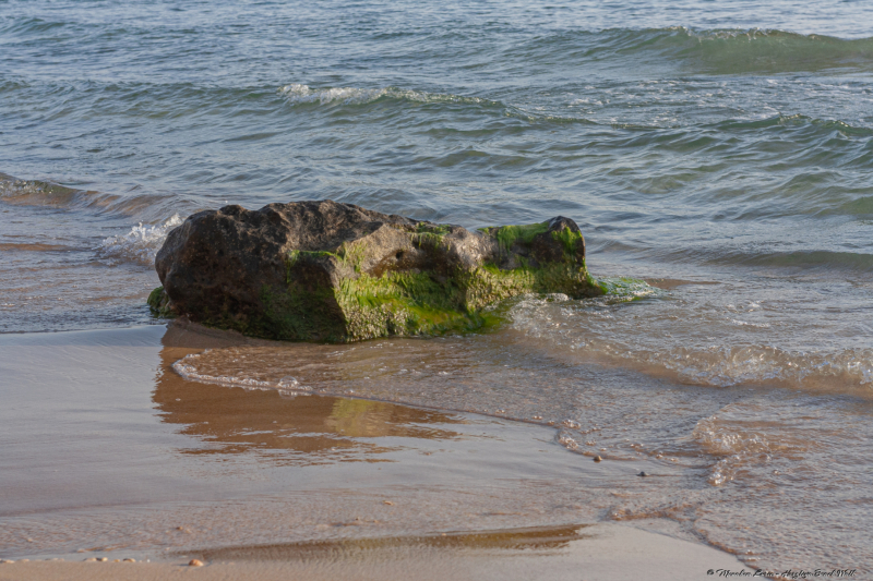 02-Herzliya-Beach-Walk