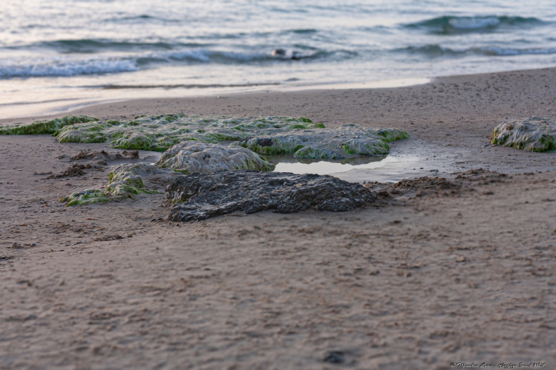 04-Herzliya-Beach-Walk
