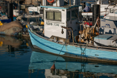 01-Jaffa-With-Danielle-28072026