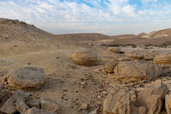 004-Keidar-Stream-Bullbus-Feild-Purim-2025