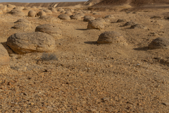 010-Keidar-Stream-Bullbus-Feild-Purim-2025