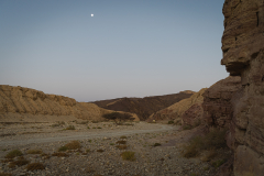 Landscape-10