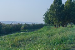Agmon-Hula-14102019_0003
