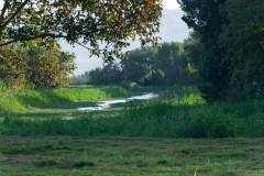 Agmon-Hula-14102019_0005