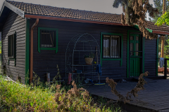 02-Lavi-Olive-Oil-and-Shmueli-Courtyard