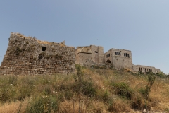 03-Migdal-Affek