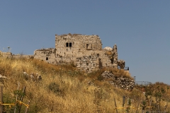 05-Migdal-Affek