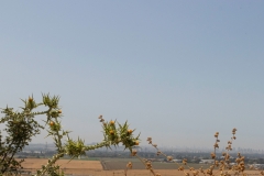 06-Migdal-Affek