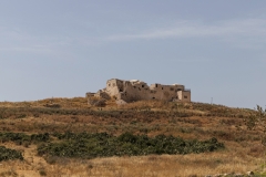 11-Migdal-Affek