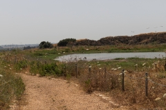 12-Migdal-Affek