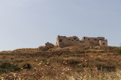 14-Migdal-Affek