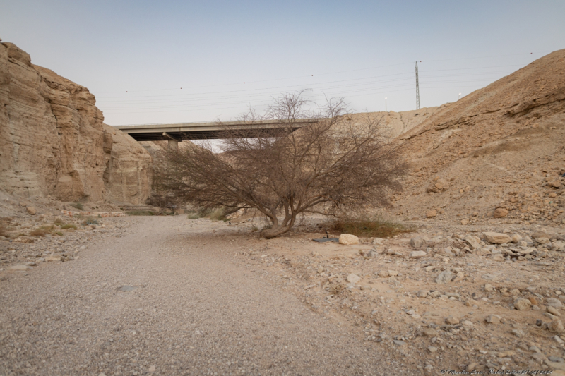 02-Nachal-Zohar-21.06.2024