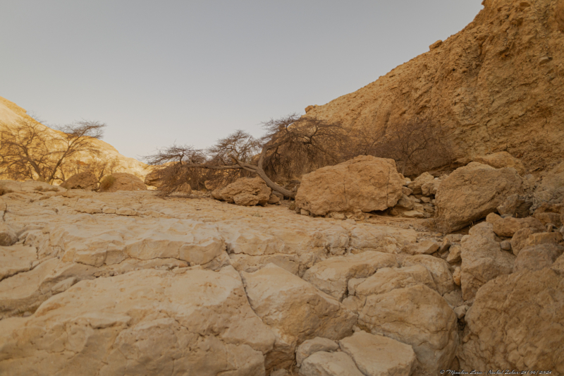 10-Nachal-Zohar-21.06.2024