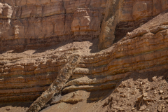 08-Nahal-Ardon