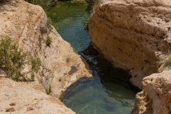02-Nahal-Arugot-Summer-2021