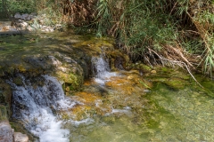 03-Nahal-Arugot-Summer-2021
