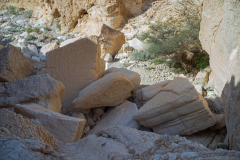 07-Nahal-Peres