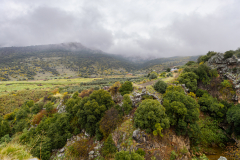 11-Golan-Hights-Round-Trip-March-2025