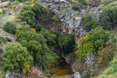 12-Golan-Hights-Round-Trip-March-2025