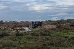 02-Nahal-Taninim-24-01-2025