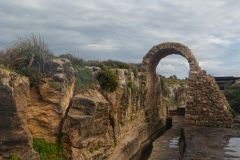 09-Nahal-Taninim-24-01-2025