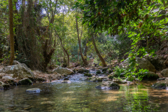 04-Nakhal-Kziv-Reserve-Eyn-Tammir-DL-DL