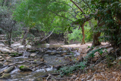 05-Nakhal-Kziv-Reserve-Eyn-Tammir-DL-DL
