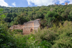 09-Nakhal-Kziv-Reserve-Eyn-Tammir-DL-ML