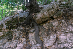 11-Nakhal-Kziv-Reserve-Eyn-Tammir-ML-DL