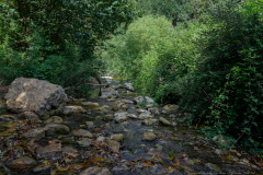 12-Nakhal-Kziv-Reserve-Eyn-Tammir-ML-DL