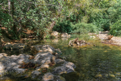 13-Nakhal-Kziv-Reserve-Eyn-Tammir-ML-DL