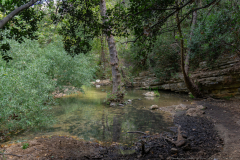 14-Nakhal-Kziv-Reserve-Eyn-Tammir-ML-DL