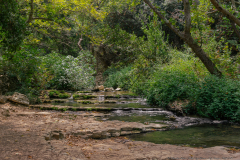 15-Nakhal-Kziv-Reserve-Eyn-Tammir-ML-DL