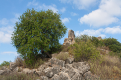 16-Nakhal-Kziv-Reserve-Eyn-Tammir-ML-ML