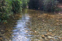 19-Nakhal-Kziv-Reserve-Eyn-Tammir-ML-ML