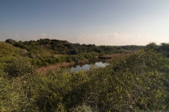 03-Nitzanim-National-Park