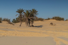 07-Nitzanim-National-Park