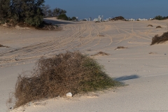 09-Nitzanim-National-Park