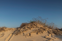 10-Nitzanim-National-Park